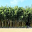 남가람 문화거리 이미지