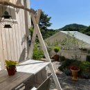 슬립인더가든 이미지