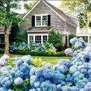 꿈꾸는정원 이미지