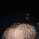 위플스튜디오 이미지