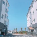 엘리하우스 이미지