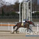 마: 뉴
