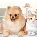 우리 강아지 이미지