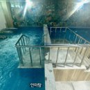 등억알프스온천 앤 호텔 이미지