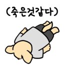 홈리복싱짐 헬스 PT 이미지