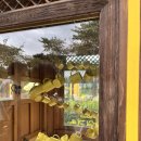 올고톡 | 경주[맥심가옥]_평일후기