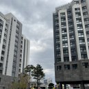 블루하우스 | 속초 체스터톤스 펜트하우스 블루 후기｜아기랑 두 가족 숙소로 좋았던 이유