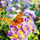 사랑과 탄생 이미지