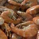 부부실내포장마차 이미지