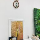 달라라토탈뷰티 이미지