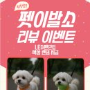 강아지 이발소 이미지
