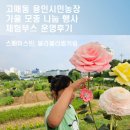 민농장 | 고매동 용인시민농장 가을 모종 나눔행사 체험부스 운영후기, 스페이스민