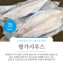 타이거수산