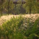 햇살가득 이미지