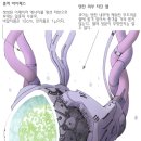 모터헤드