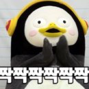 2019 광명동굴 대한민국 와인 페스티벌 네이버블로그