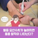 성모류마내과의원 네이버블로그