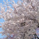 신남초등학교 이미지