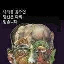 실버보드게임지도사 이미지