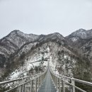 2026년1월25일 제52차 정기산행 운악산(100대명산) 이미지