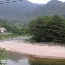 계곡사슴팬션 이미지