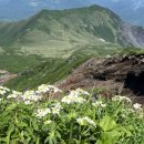 (유)큐리더 이미지