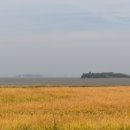 경기둘레길 화성48코스 이미지