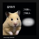 비피엔주 | [‘24.07 -3,4] 2주 몰아쓰기, 대장내시경의 추억과 건강 챙기기