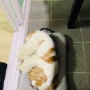 장경리펜션민박 이미지