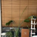 [세종/나성동] 나성동 미용실 &#34;세련헤어&#34; 후기