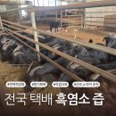 한양건강원 - 서구 충무대로 191 | 한양건강원