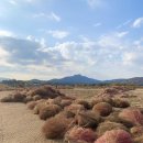 나리목장 이미지