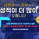 성지에듀