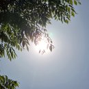 위철안경원 이미지