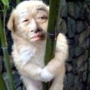방가방가PC방 이미지