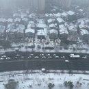 진영부동산공인중개사사무소 이미지