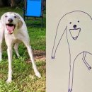 강아지그림