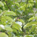 청소보건지소 이미지