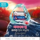 리비에라 이미지