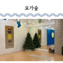 요가(여) | 대전 관평동 요가원 요가숲에서 시작해 보는 요가 수련 후기