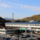 함안활어 이미지