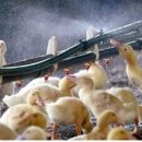 박상민농장 이미지