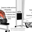 레몬트리짐 이미지