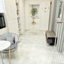 견생폼사 이미지