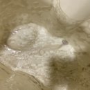 엠코세탁 이미지