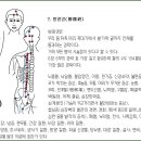 방광경,腎經, 심포경, 삼초경, 담경, 간경 이미지