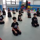 태극타이거 합기도 이미지