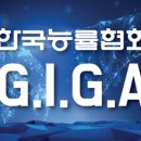 G.I.G