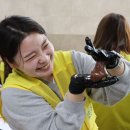 피에이치씨발레오