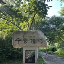 수룡폭포길 | 대전 근교 당일치기 물놀이 충주 &#39;수룡계곡&#39; 나무 그늘이 있는 계곡 조용한 계곡 추천